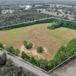 Property photo for land for sale in Cass County Texas