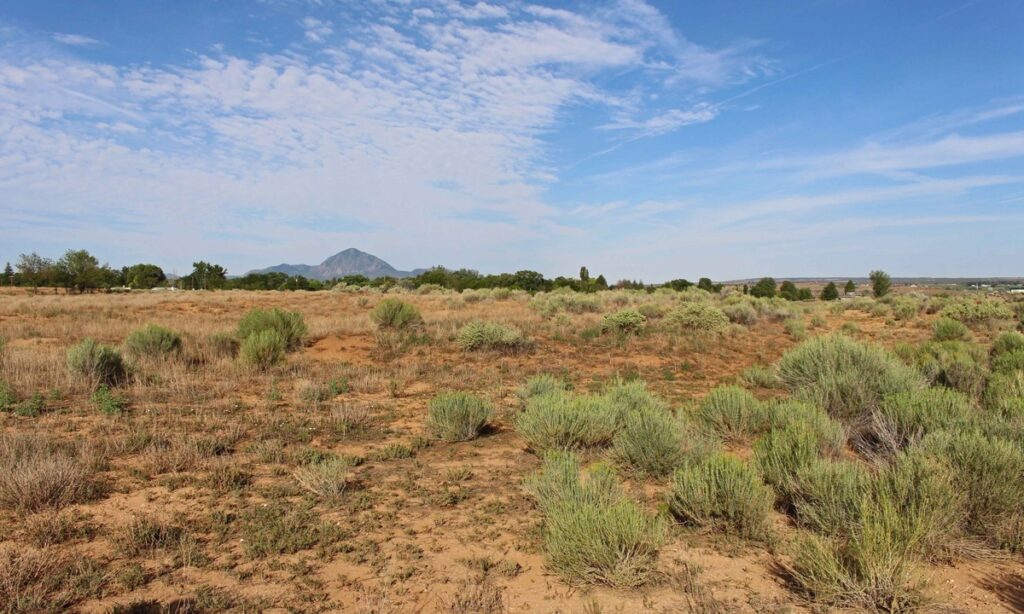 Property photo for land for sale in Montezuma County Colorado