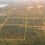 Property photo for land for sale in Union County Louisiana