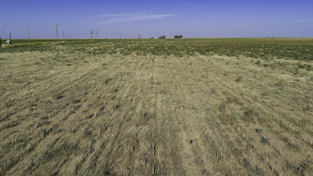 11f5c6c0-9622-4c45-9763-f84491ea5283.jpg
