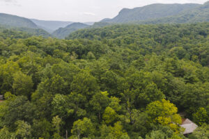 Property photo for land for sale in McDowell County North Carolina