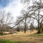 Property photo for land for sale in Washington County Texas