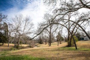 Property photo for land for sale in Washington County Texas