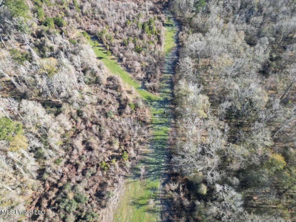 1347cb8d-e400-45b5-9afa-bdcf7fb042bd.jpg