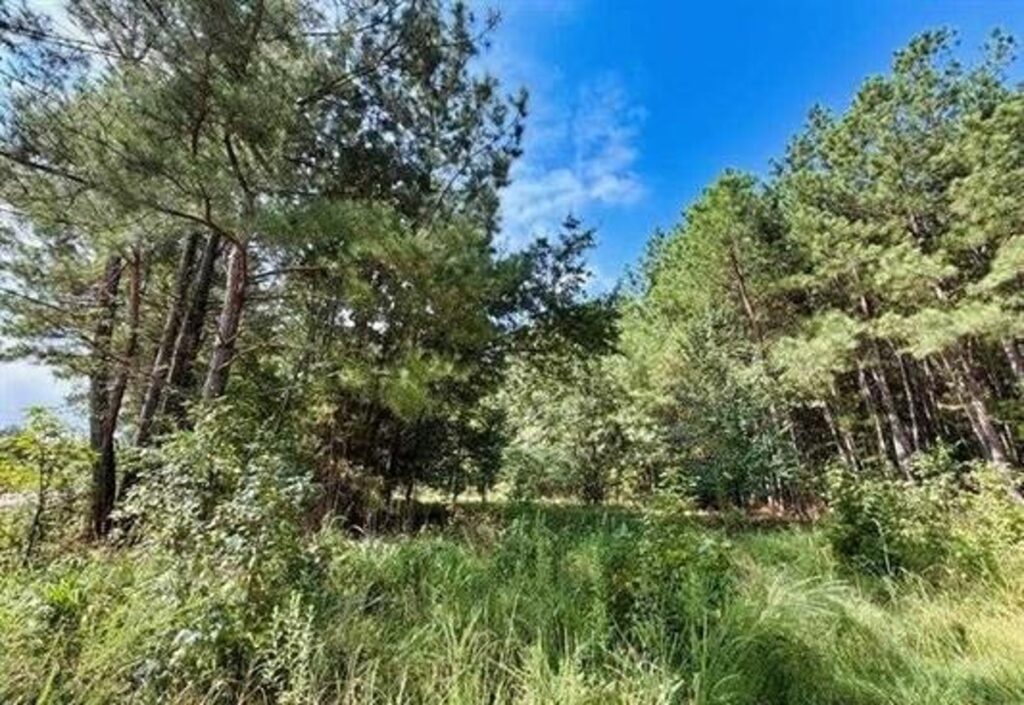 Property photo for land for sale in Chesterfield County South Carolina
