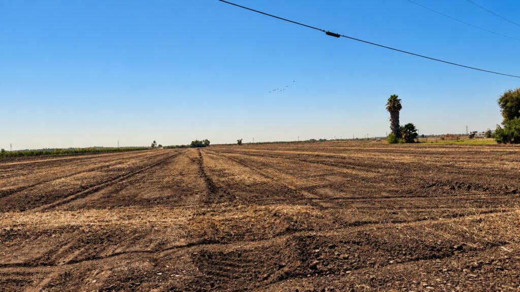 Property photo for land for sale in Yolo County California