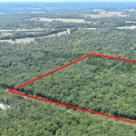 Property photo for land for sale in St. Clair County Missouri