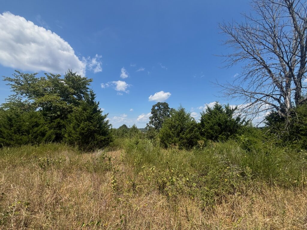 159ae6ad-df28-4928-b902-5b9ab132f087.jpg