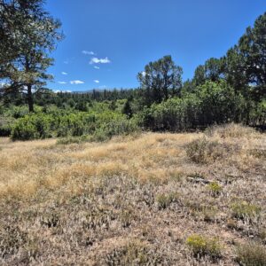 Property photo for land for sale in Ouray County Colorado