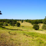Property photo for land for sale in Lincoln County Oklahoma