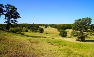 Property photo for land for sale in Lincoln County Oklahoma