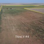 Property photo for land for sale in Lamb County Texas