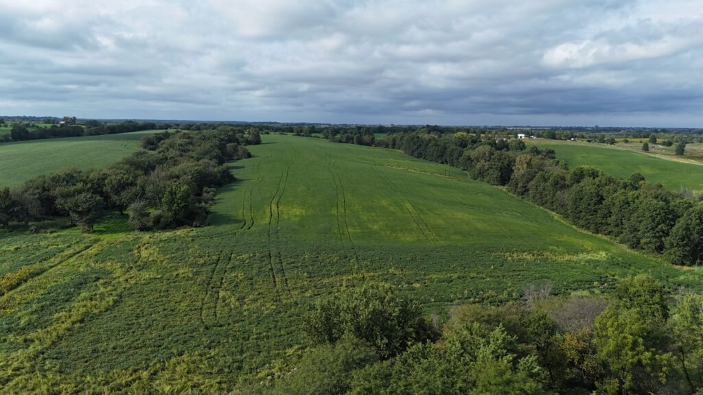 Property photo for land for sale in Lucas County Iowa