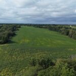 Property photo for land for sale in Lucas County Iowa