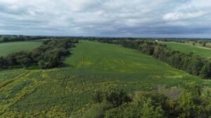 Property photo for land for sale in Lucas County Iowa