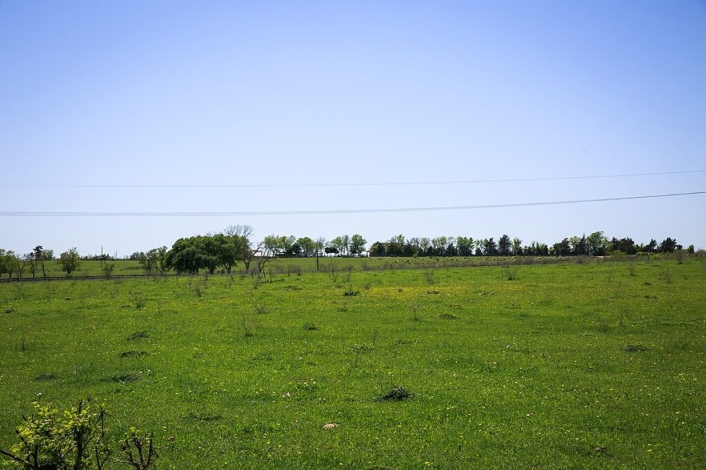 1c25452a-ce28-4d53-9822-3c69e755edf1.jpg
