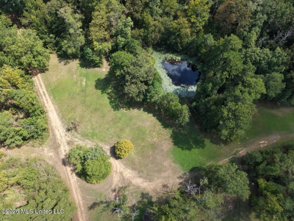 Property photo for land for sale in Jefferson County Mississippi