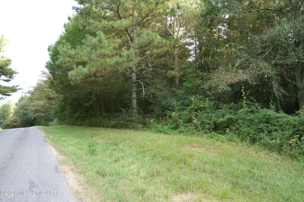 Property photo for land for sale in Jasper County Mississippi