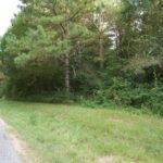 Property photo for land for sale in Jasper County Mississippi