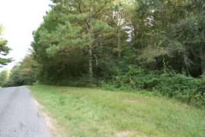 Property photo for land for sale in Jasper County Mississippi