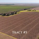 Property photo for land for sale in Lamb County Texas