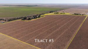 Property photo for land for sale in Lamb County Texas