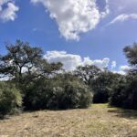 Property photo for land for sale in Colorado County Texas