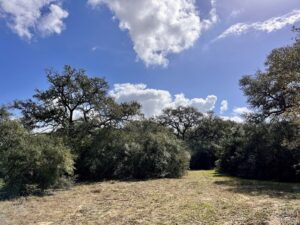 Property photo for land for sale in Colorado County Texas