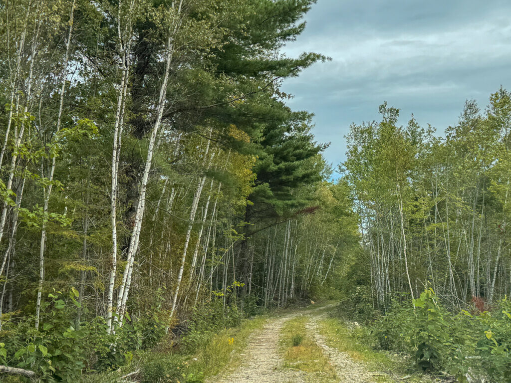 1e955240-36c1-4ca8-8f50-a08fd1e376b9.jpg