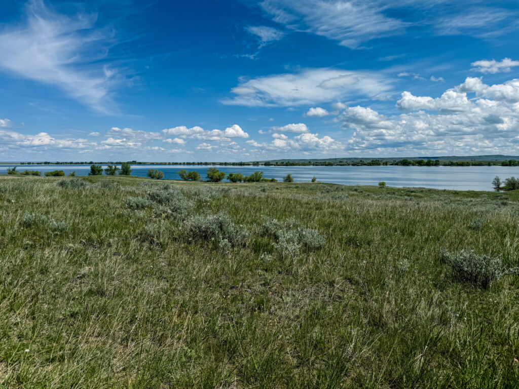 1ea442a1-8807-4072-83b6-9b7ddd876048.jpg