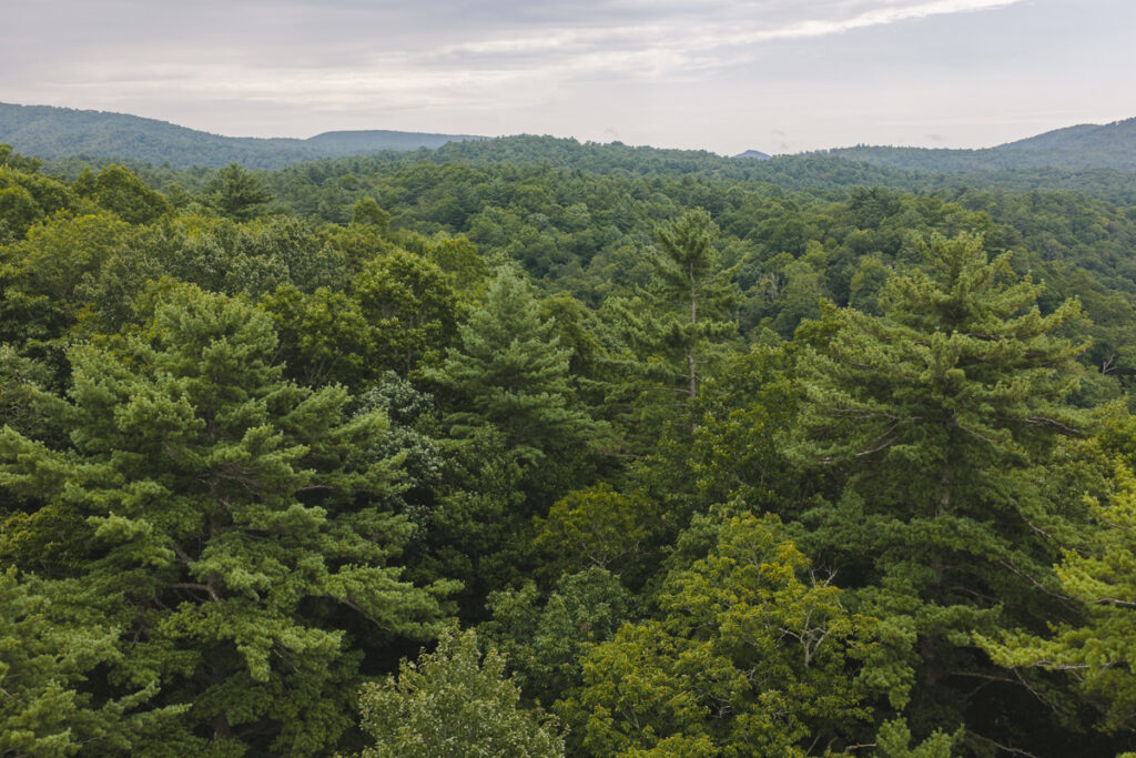 Property photo for land for sale in McDowell County North Carolina