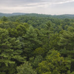 Property photo for land for sale in McDowell County North Carolina