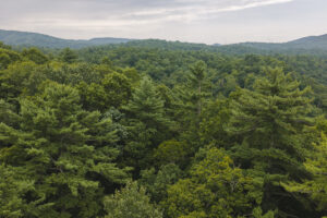 Property photo for land for sale in McDowell County North Carolina
