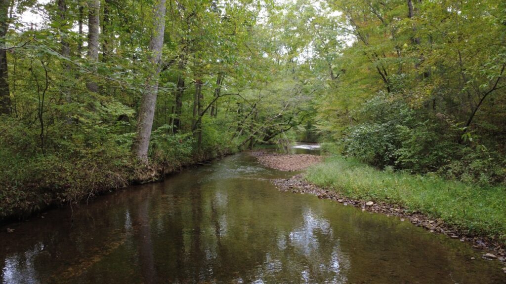 Property photo for land for sale in Lewis County Tennessee