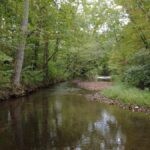 Property photo for land for sale in Lewis County Tennessee