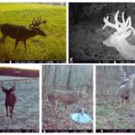 Property photo for land for sale in Iowa County Wisconsin