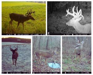 Property photo for land for sale in Iowa County Wisconsin