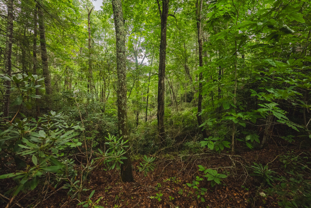 272e5220-687f-4d2d-8419-dfade3dcb505.jpg