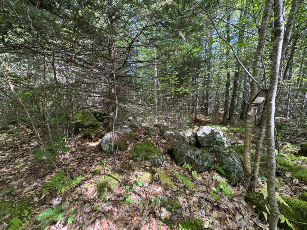 27bf2f05-26ce-47ea-ba25-ab6992e58468.jpg