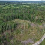 Property photo for land for sale in Fulton County Arkansas