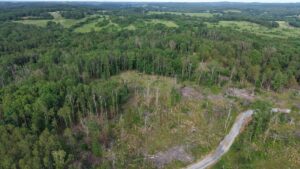 Property photo for land for sale in Fulton County Arkansas