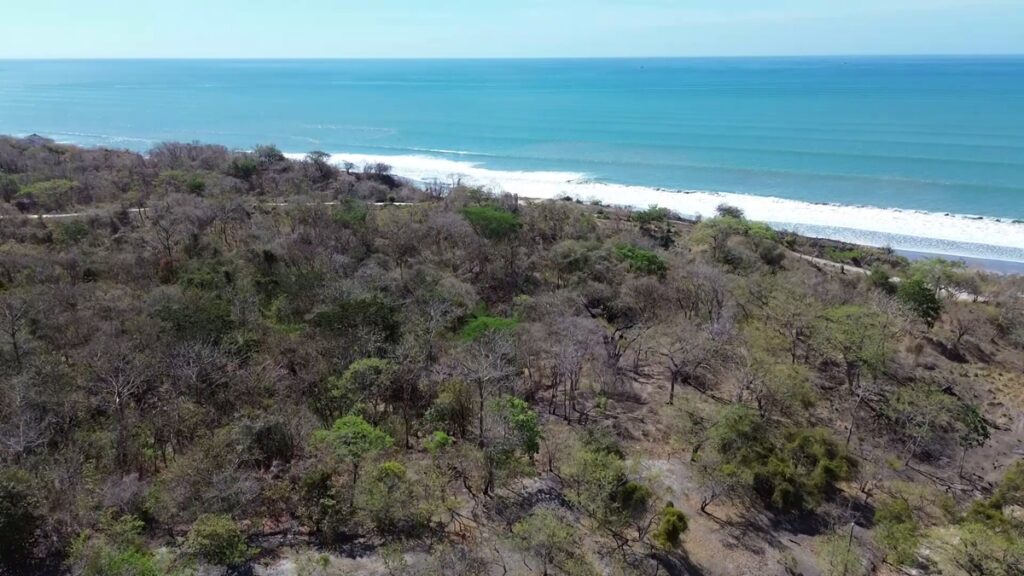 Property photo for land for sale in County Panama