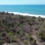 Property photo for land for sale in  County Panama