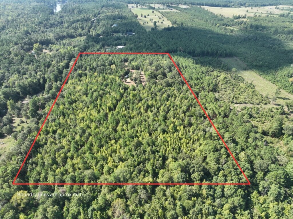 Property photo for land for sale in Cass County Texas