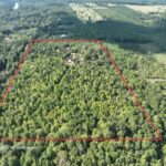 Property photo for land for sale in Cass County Texas
