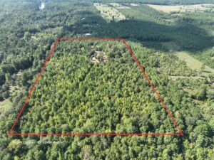 Property photo for land for sale in Cass County Texas