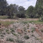 Property photo for land for sale in Yavapai County Arizona