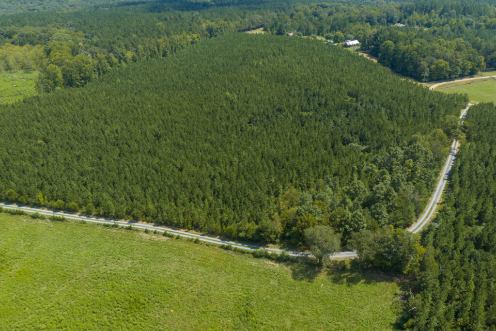 2f822bc5-2f08-4526-8cbe-96a0411ad83c.jpg