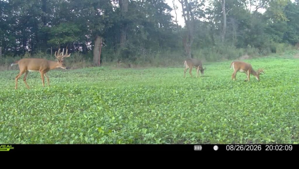 Property photo for land for sale in Decatur County Iowa