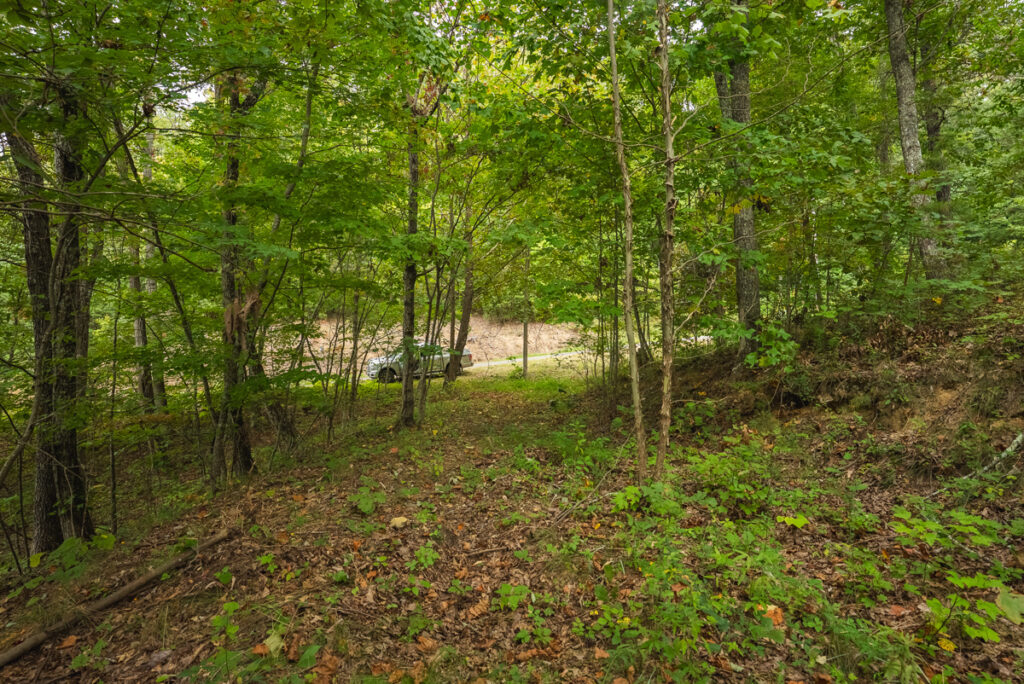 312d7305-aa60-4921-a228-4d5abf90f595.jpg